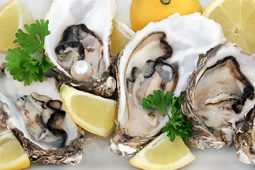 Image showing Fresh Oysters