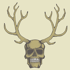 Image showing Vector skull illustration