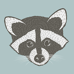 Image showing Raccoon vector illustration