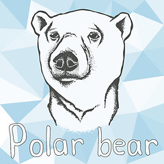 Image showing Polar bear vector illustration