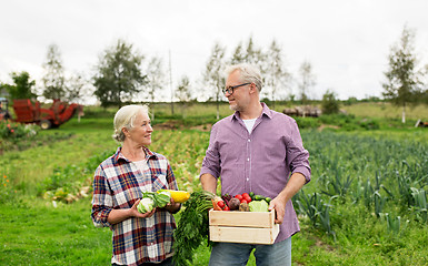 Image showing senior couple with box of vegetables on farm