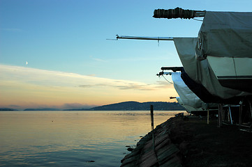 Image showing Sailing boats