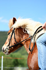 Image showing Horse riding