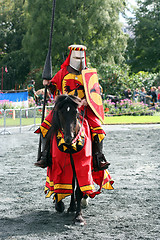 Image showing A knight and his horse