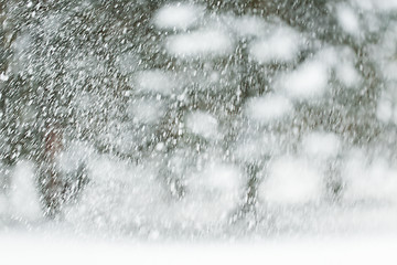 Image showing snowing or snowfall