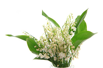 Image showing lily of valley