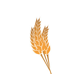 Image showing Ears of wheat isolated on white background