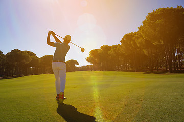 Image showing pro golf player shot ball