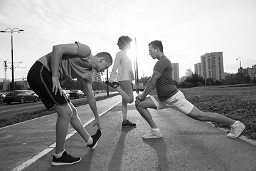 Image showing multiethnic group of people on the jogging