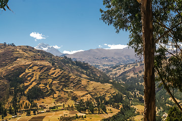 Image showing Countryside in sunlight