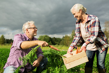 Image showing senior couple with box of carrots on farm