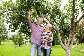 Image showing senior couple with apple tree at summer garden