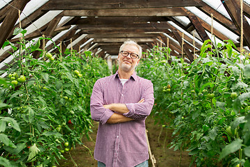 Image showing happy senior man at farm greenhouse