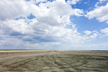 Image showing Etosha landscape