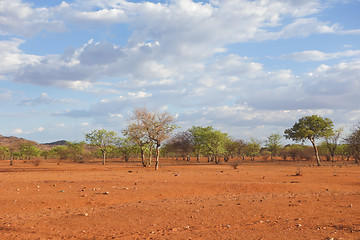 Image showing Kalahari