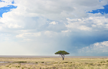 Image showing african landscape