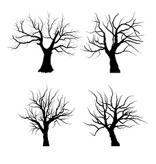 Image showing Collection Set of Trees Silhouettes isolated