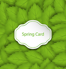 Image showing Spring Card on Seamless Stylish Pattern with Green Leaves