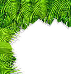 Image showing Illustration Summer Nature Background with Green Tropical Leaves
