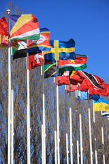 Image showing Flags