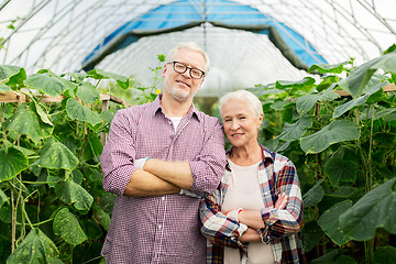 Image showing happy senior couple at farm greenhouse
