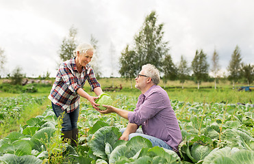 Image showing senior couple picking cabbage on farm