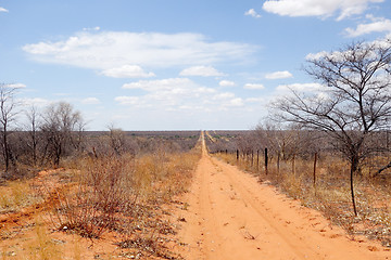 Image showing Kalahari