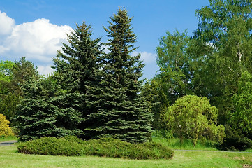 Image showing peaceful landscape