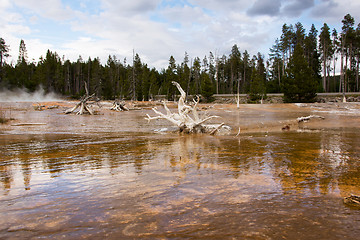 Image showing Yellowstone National Park, Utah, USA