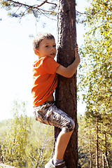Image showing little cute real boy climbing on tree hight, outdoor lifestyle c