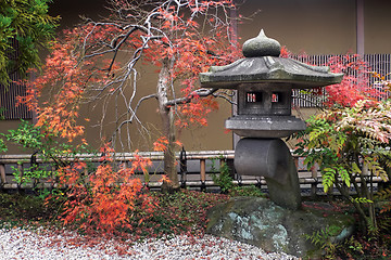 Image showing japanese lantern and autumnal maple tree