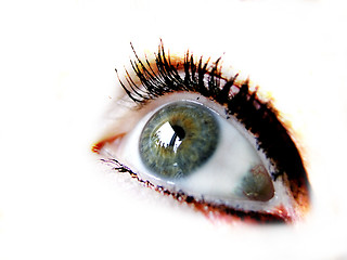 Image showing Isolated Eye