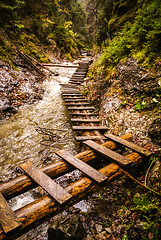 Image showing Foot-bridges in Slovak Paradise