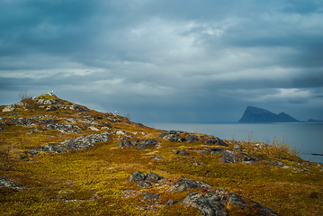 Image showing Cliffs and sea