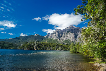 Image showing Greenery in Bariloche