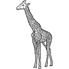 Image showing Sketch of a high African giraffe on white background. illustration