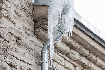 Image showing icicles hanging from building drainpipe