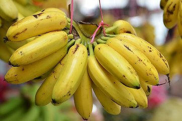 Image showing Bananas hanging for sale 