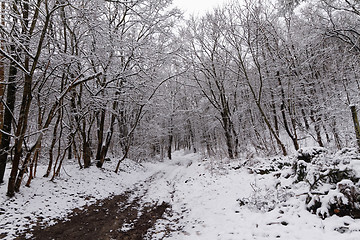 Image showing Snowy road