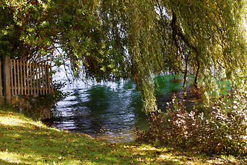 Image showing Lake in the park