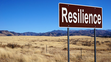 Image showing Resilience brown road sign