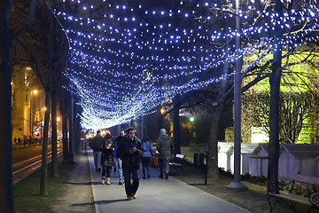 Image showing Plane tree alley 