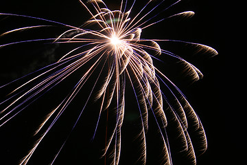 Image showing Fireworks