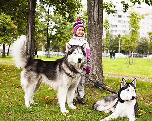 Image showing little cute girl playing with husky dog outside in green park
