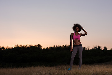 Image showing young african american woman in nature