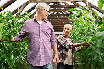 Image showing happy senior couple at farm greenhouse