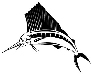 Image showing Sailfish