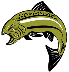 Image showing Trout