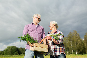 Image showing senior couple with box of carrots on farm