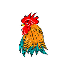 Image showing Head of Rooster, Hand Drawn Style, Colorful Cock